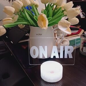 Illuminate Your LIVE SHOWS ON AIR' LED Sign